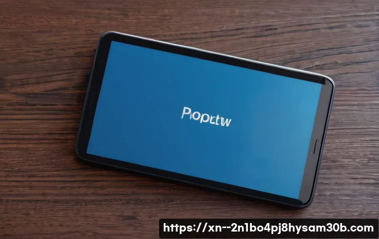 쌍령동 STATUS_INVALID_PAGE 관련 이미지 1