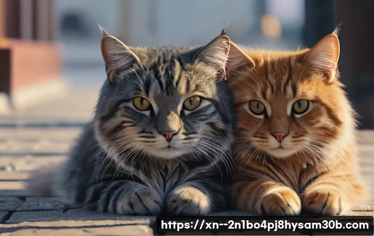 화정동 STATUS_INVALID_PAGE, 해결 안하면 손해! 지금 바로 알아보자 4 화정동 STATUS_INVALID_PAGE 관련 이미지 2