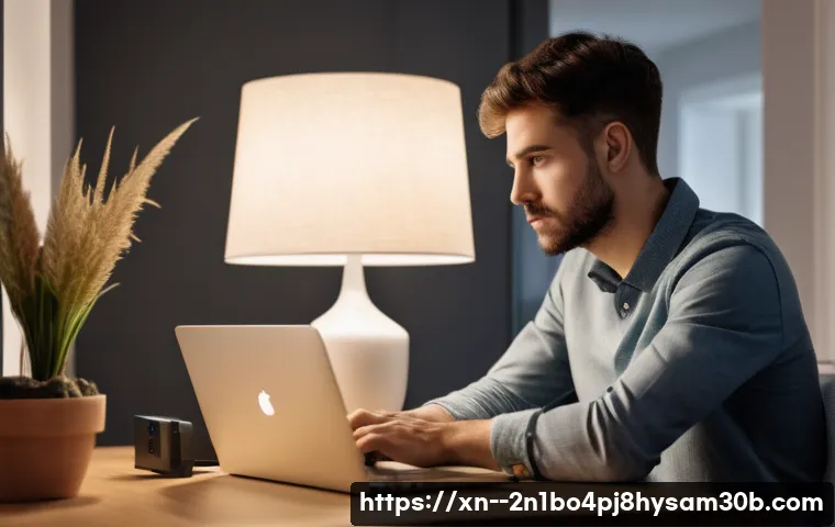 동소문동 STATUS_MODULE_CORRUPTION 관련 이미지 2