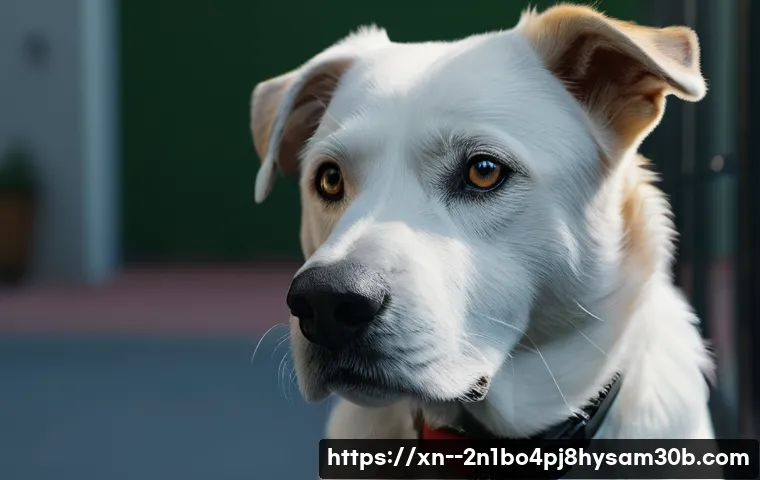 흥인동 컴퓨터도 멈추게 한 WATCHDOG_VIOLATION, 단번에 해결하는 비밀 방법 1