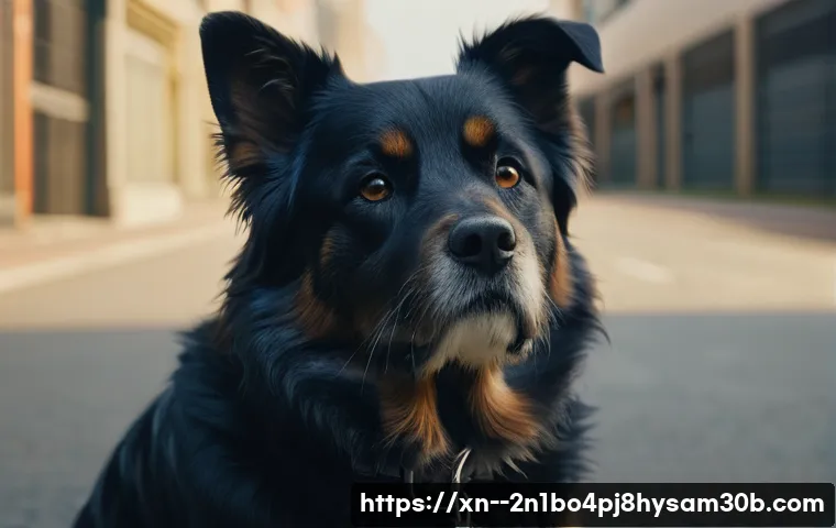 흥인동 컴퓨터도 멈추게 한 WATCHDOG_VIOLATION, 단번에 해결하는 비밀 방법 3 흥인동 WATCHDOG_VIOLATION 관련 이미지 1