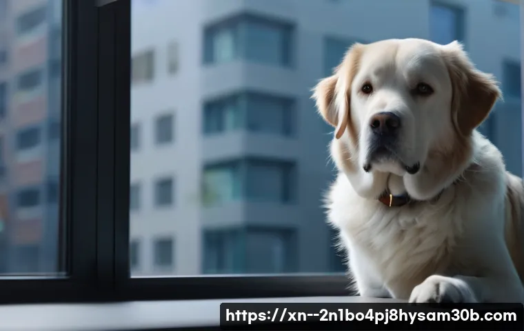 흥인동 컴퓨터도 멈추게 한 WATCHDOG_VIOLATION, 단번에 해결하는 비밀 방법 4 흥인동 WATCHDOG_VIOLATION 관련 이미지 2