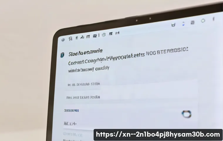 잠원동 STATUS_KERNEL_PERMISSION_DENIED 관련 이미지 1