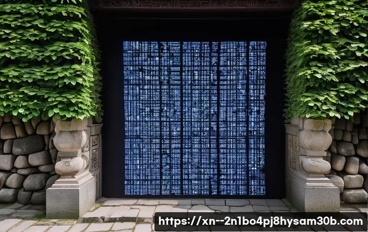 권농동 STATUS_MODULE_CORRUPTION 관련 이미지 2