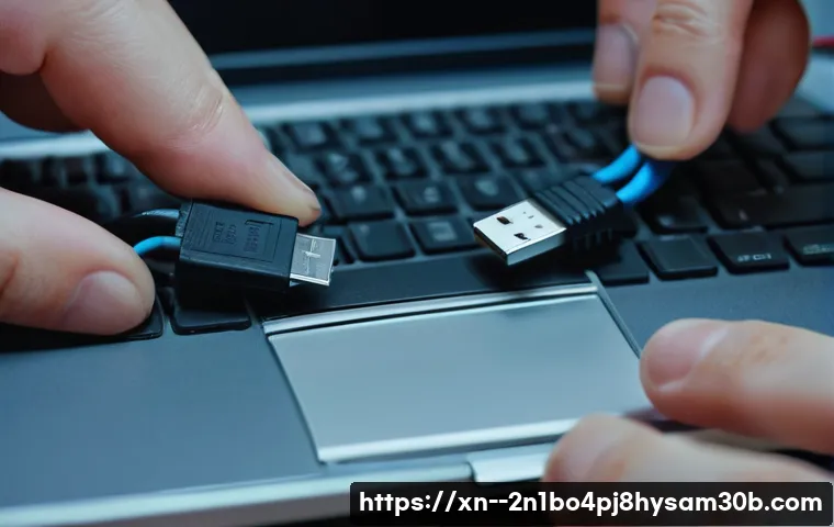 보문동 STATUS_IO_ERROR 관련 이미지 1