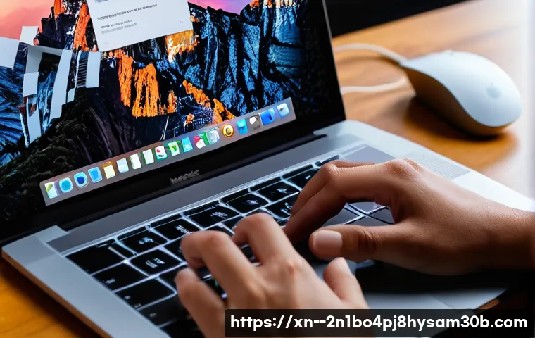 느려진 맥북 속도 2배로 만드는 macOS 재설치, 공장 초기화의 놀라운 꿀팁 3 도원동 macosX재설치 포맷 초기화 관련 이미지 1