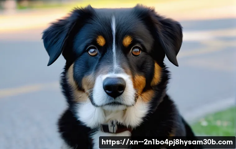 DPC WATCHDOG VIOLATION 깜짝 해결법! 당신만 몰랐던 비법 5가지 21