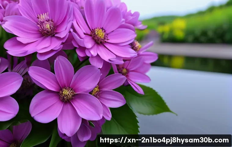 방이동 악성코드 바이러스 비상! 지금 모르면 큰일 나는 내 PC 안전 점검법 13