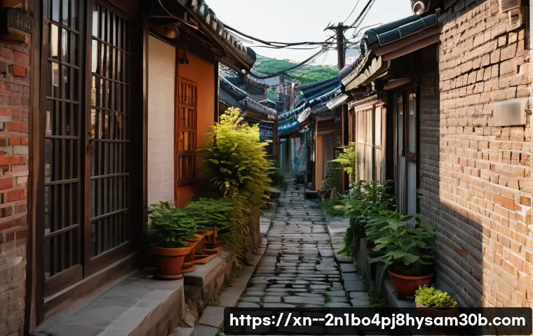 창신동 STATUS_DISK_FULL, 당신이 놓치면 후회할 매력 5가지 1