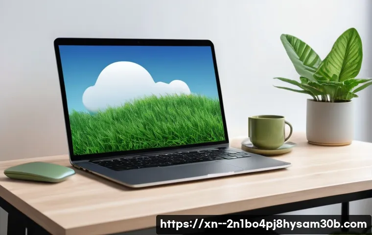 효자동 STATUS_IO_ERROR 모르면 큰일나는 이유와 초간단 해결법 4 효자동 STATUS_IO_ERROR 관련 이미지 2