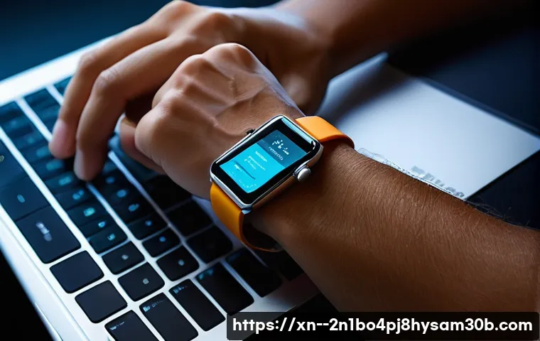 원지동 macosX재설치 포맷  초기화 관련 이미지 1