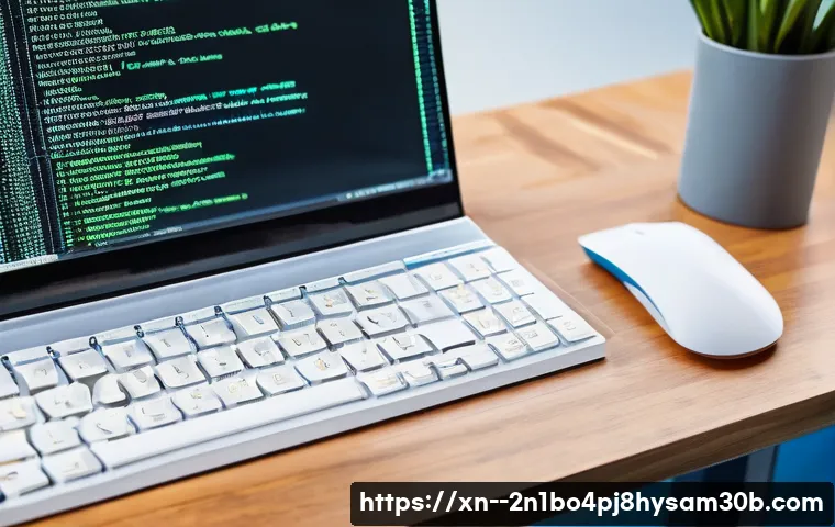 화동 STATUS_PAGE_FAULT 관련 이미지 2