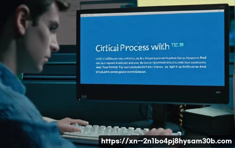 효제동 CRITICAL_PROCESS_DIED, 컴퓨터 고수들이 몰래 쓰는 비법 대공개 1