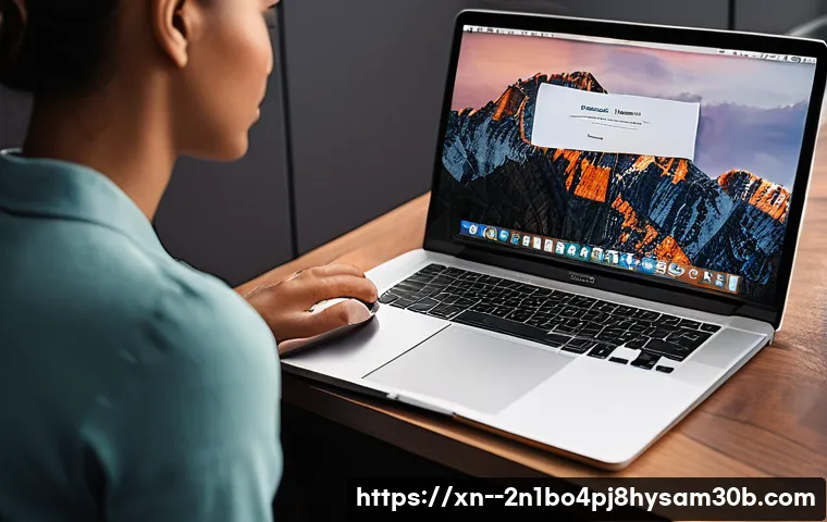 삼각동 맥윈도우 부트캠프_bootcamp 재설치 포맷  초기화 관련 이미지 2