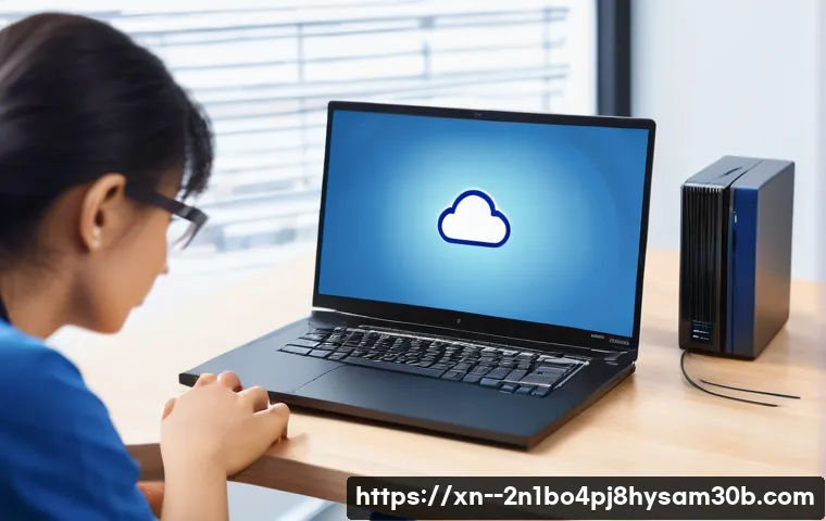 불광동 VIDEO_MEMORY_MANAGEMENT_INTERNAL 관련 이미지 2