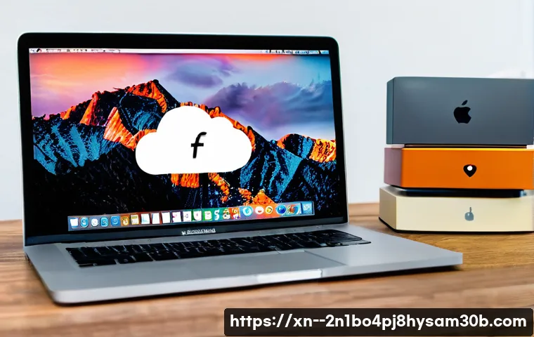 미성동 macosX재설치 포맷  초기화 관련 이미지 1