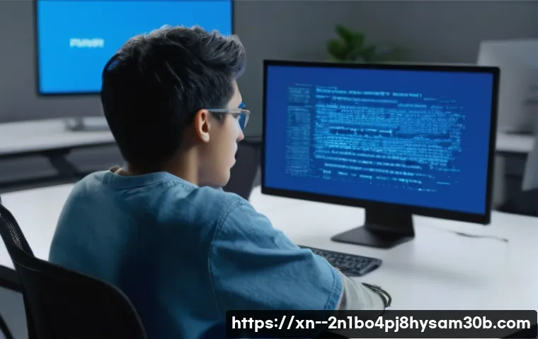 정릉동 STATUS_KERNEL_HANDLE_INVALID 관련 이미지 1