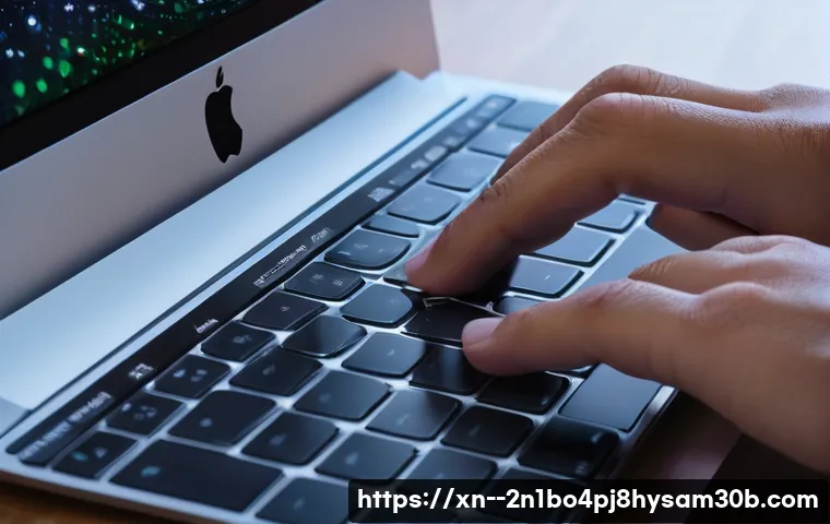 맥북 새것처럼! macOS 재설치 포맷 초기화 완벽 가이드 4 현천동 macosX재설치 포맷 초기화 관련 이미지 2