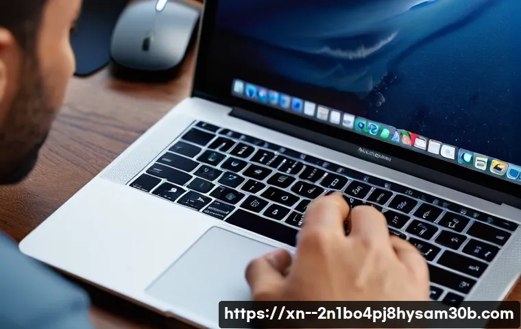 쌍림동 macosX재설치 포맷  초기화 관련 이미지 1