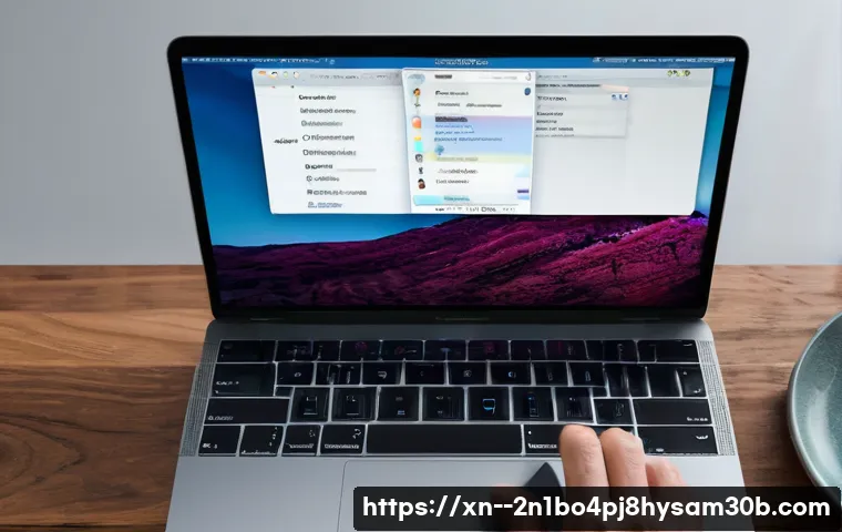 쌍림동 macosX재설치 포맷  초기화 관련 이미지 2