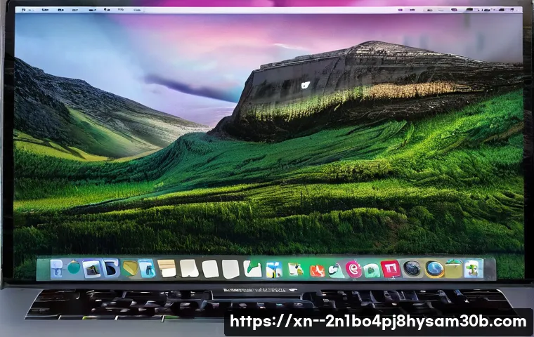 방이동 맥윈도우 부트캠프_bootcamp 재설치 포맷  초기화 관련 이미지 2
