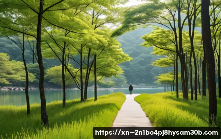 가평군 STATUS_STACK_OVERFLOW, 지금 모르면 후회할 지역 생존 꿀팁 17