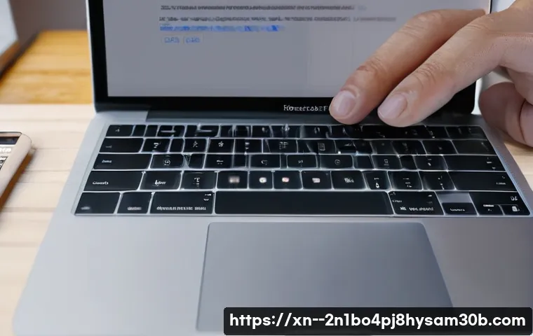 삼각동 macosX재설치 포맷  초기화 관련 이미지 1