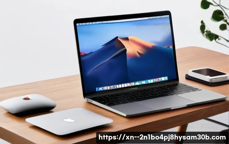 삼각동 macosX재설치 포맷  초기화 관련 이미지 2