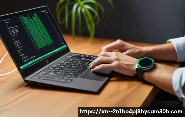 도림동 STATUS_KERNEL_MODULE_CORRUPTION 관련 이미지 2