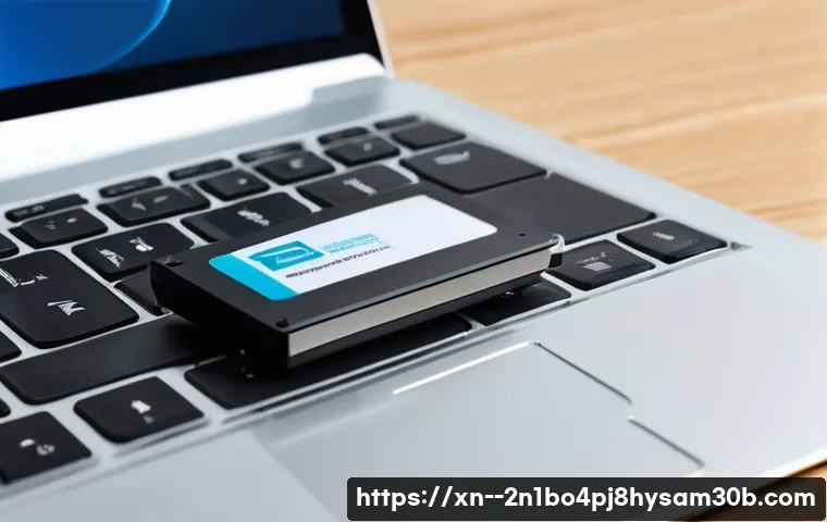 중화동 IO DEVICE ERROR 모르면 손해 보는 완벽 가이드 3 중화동 IO_DEVICE_ERROR 관련 이미지 1