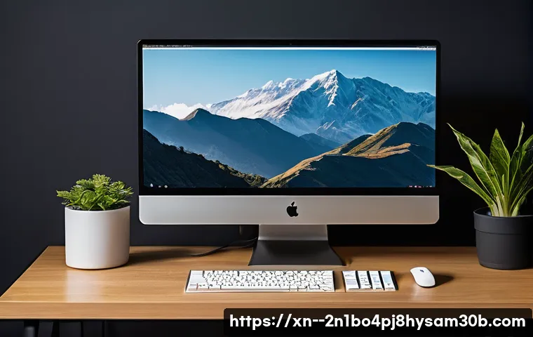 신사동 SYSTEM_THREAD_EXCEPTION_NOT_HANDLED 관련 이미지 2