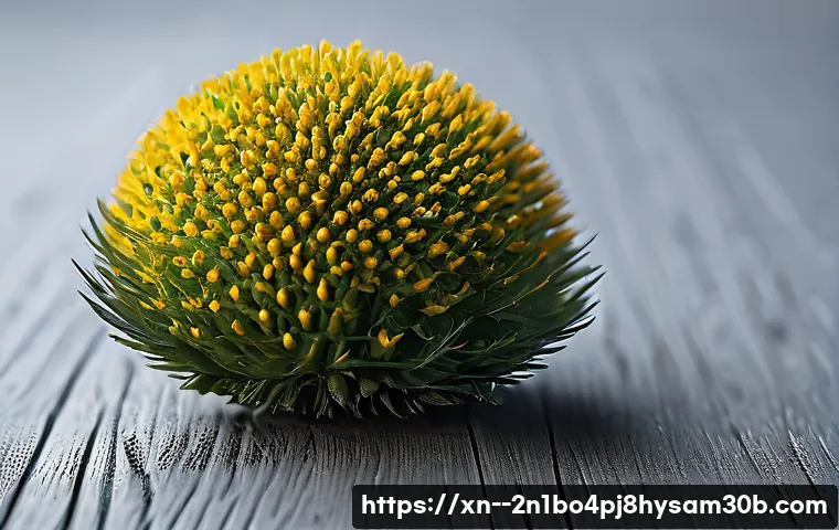 불광동에서 윈도우 재설치, PC 초기화 꿀팁: 은평구 노트북 수리 고객님께 드리는 솔루션 9