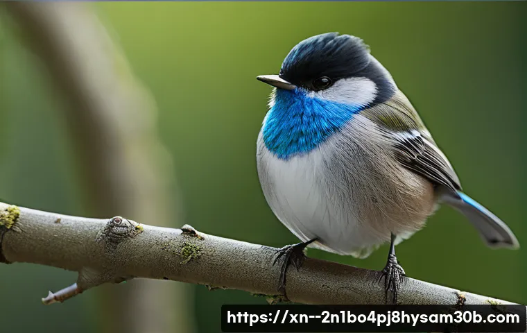 불광동에서 윈도우 재설치, PC 초기화 꿀팁: 은평구 노트북 수리 고객님께 드리는 솔루션 3 불광동 linux재설치 포맷 초기화 관련 이미지 1