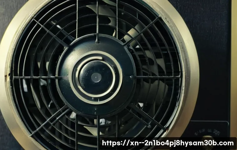 회덕동 팬돌다 멈춤, 지금 바로 확인해야 할 의외의 원인 5