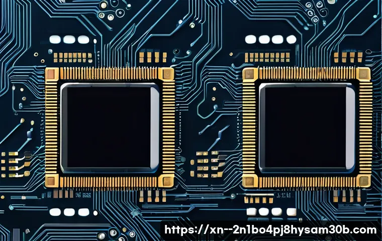 동빙고동 STATUS_KERNEL_DATA_CORRUPTION 관련 이미지 1