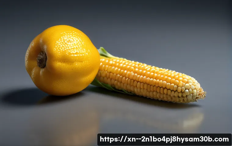 화동 STATUS_KERNEL_INIT_FAILURE 관련 이미지 2