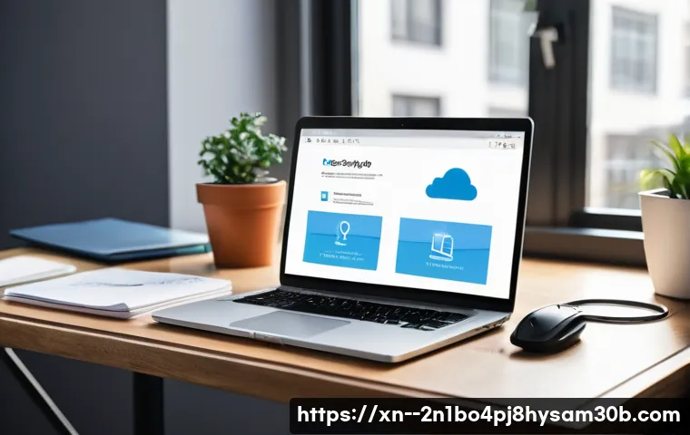 원문동 STATUS_DISK_CORRUPTION 관련 이미지 2