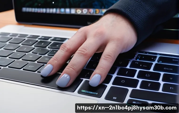 덕양구 macosX재설치 포맷  초기화 관련 이미지 2