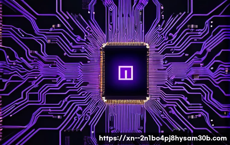 회덕동 STATUS_KERNEL_HEAP_CORRUPTION 관련 이미지 1