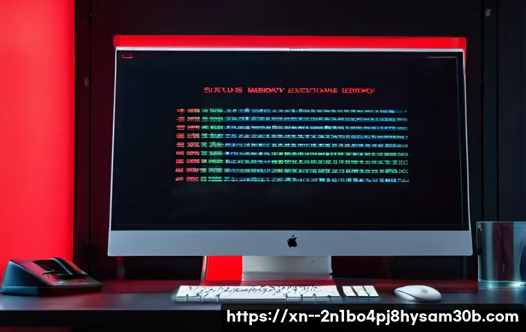 공릉동 STATUS_MEMORY_VIOLATION 관련 이미지 2