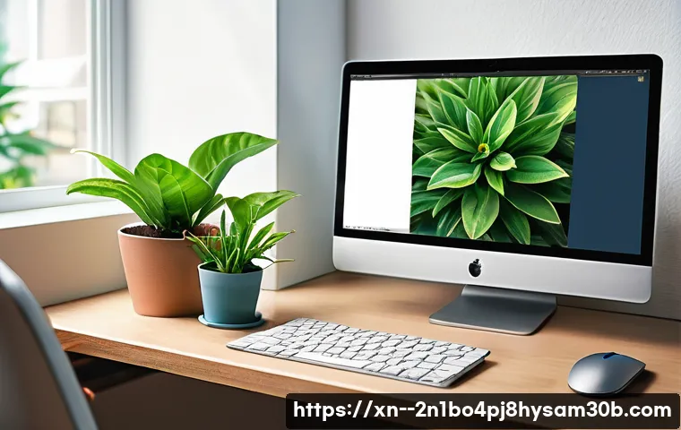 중대동 ACPI_BIOS_ERROR 관련 이미지 2