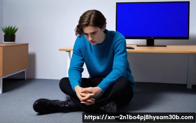 세종로 STATUS_IO_ERROR 관련 이미지 2