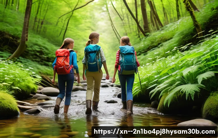 도내동 PAGE_TABLE_CORRUPT 관련 이미지 1