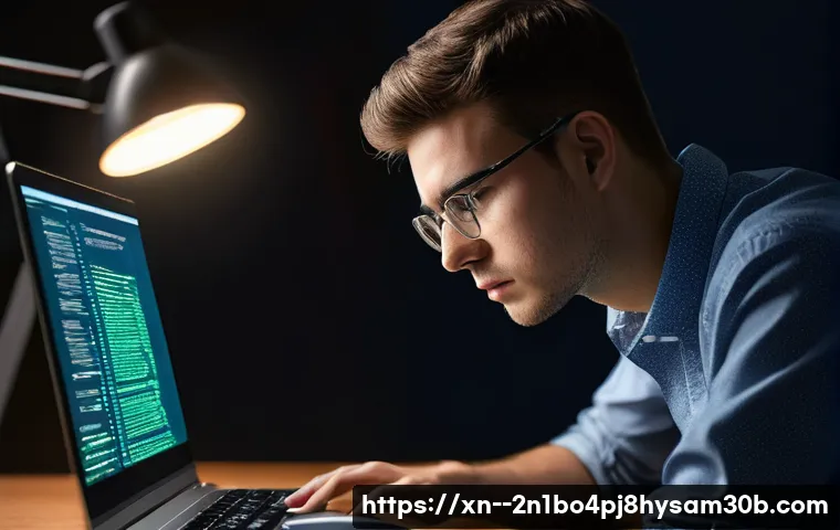 남종면 PROCESS_HAS_LOCKED_PAGES 관련 이미지 1