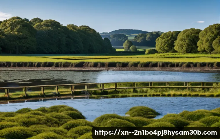 STATUS_KERNEL_THREAD_FAILURE, 당신의 PC를 살릴 긴급 가이드 3 목현동 STATUS_KERNEL_THREAD_FAILURE 관련 이미지 1