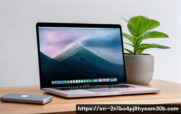 성현동 맥북 초기화, macOS 재설치 고민 끝! 초보자도 쉽게 따라하는 완벽 가이드 33