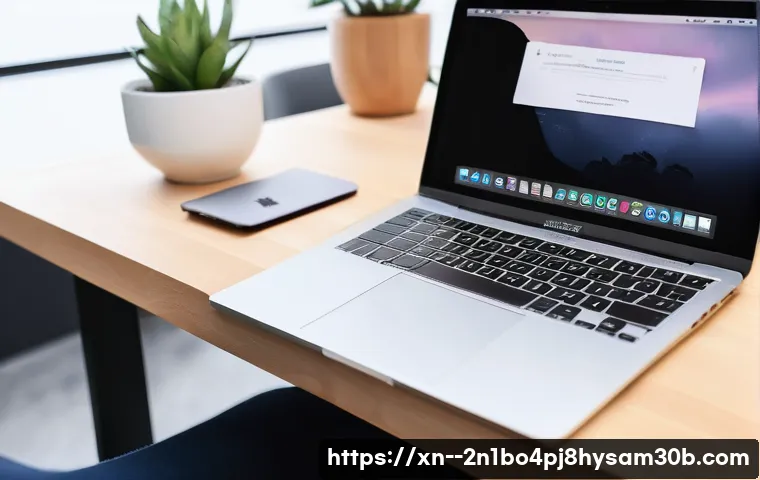 성현동 macosX재설치 포맷  초기화 관련 이미지 2