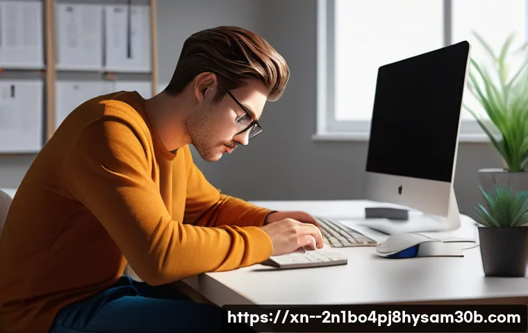 시흥동 STATUS_IO_ERROR 관련 이미지 1