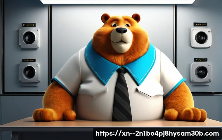 서림동 FAT32_FILE_SYSTEM 관련 이미지 1