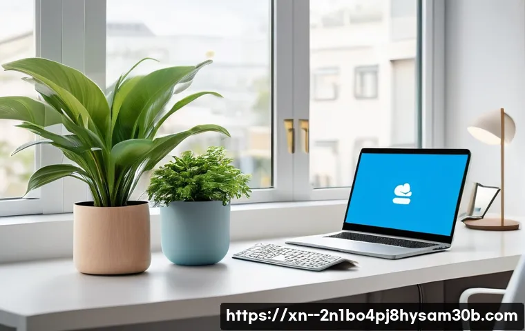 개포동 IO_DEVICE_ERROR 관련 이미지 2